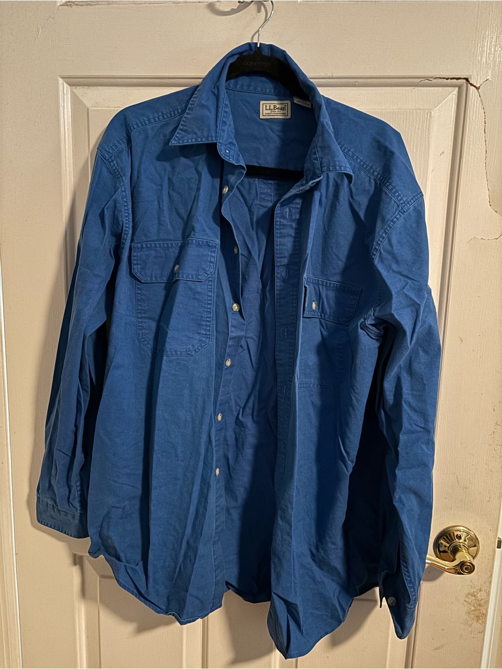L.L. Bean Blue Button Down Shirt